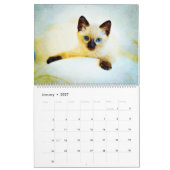 Calendrier Cadeaux pour amateurs de chatons mignons bébé chat (Jan 2027)