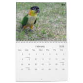 Calendrier Caïque 2010 (Feb 2026)