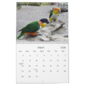 Calendrier Caïque 2010 (Mar 2026)