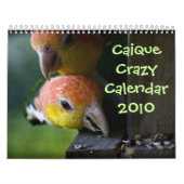Calendrier Caïque 2010 (Protection)