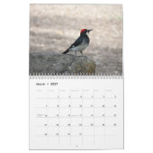 Calendrier calandaire des oiseaux d'Amérique du No (Mar 2027)