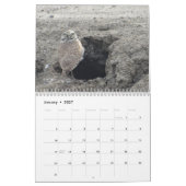 Calendrier calandaire des oiseaux d'Amérique du No (Jan 2027)