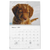 Calendrier Calander de chien (Feb 2027)
