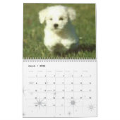 Calendrier Calander de chien (Mar 2026)