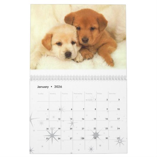 Calendrier Calander de chien (Jan 2026)