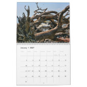 Calendrier Calander de plage de bois de flottage (Jan 2027)
