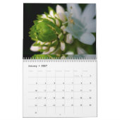 Calendrier Calandre (Jan 2027)