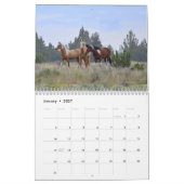 Calendrier Calandre de mustang sauvage de 2020 (Jan 2027)
