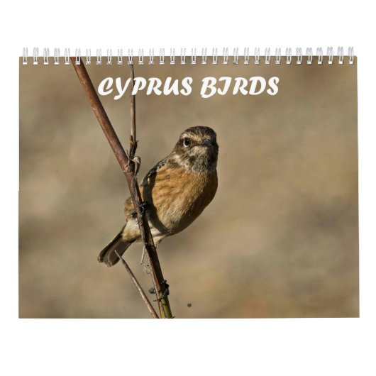 Calendrier Calendar (Dos)