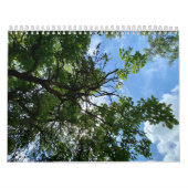 Calendrier Calendar (Protection)