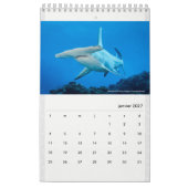Calendrier Calendar 2022 RANGIROA (Jan 2027)