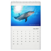 Calendrier Calendar 2022 RANGIROA (Mar 2027)