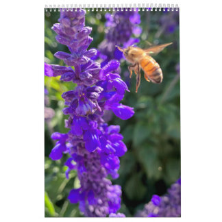 Calendrier Calendar bees butterflys