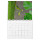 Calendrier Calendar insects de Praying Mantis (Mar 2026)