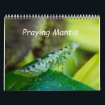 Calendrier Calendar insects de Praying Mantis<br><div class="desc">Praying Mantis insects on sunflower plants</div>