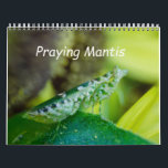 Calendrier Calendar insects de Praying Mantis<br><div class="desc">Praying Mantis insects on sunflower plants</div>