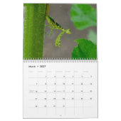 Calendrier Calendar insects de Praying Mantis (Mar 2027)