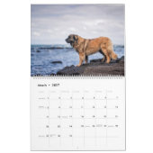 Calendrier Calendar - Leonberger Ladies (Mar 2027)