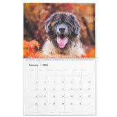 Calendrier Calendar - Leonberger Ladies (Feb 2026)
