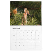 Calendrier Calendar Pacific Northwest Wildlife (c)2026 (Mar 2026)