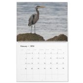 Calendrier Calendar Pacific Northwest Wildlife (c)2026 (Feb 2026)