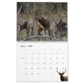 Calendrier Calendar 'Wild at Last' 2026 (Mar 2026)