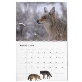 Calendrier Calendar 'Wild at Last' 2026 (Feb 2026)