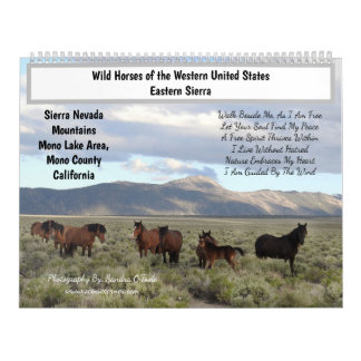 Calendrier Calendar, Wild Horses, Eastern Sierra, California