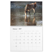 Calendrier Calendar, wild horses, salt river, Arizona (Feb 2027)