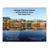 Calendrier Calendar, wild horses, salt river, Arizona (Protection)