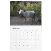 Calendrier Calendar, wild horses, salt river, Arizona (Mar 2027)