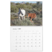 Calendrier Calendar, wild horses, salt river, Arizona (Jan 2027)