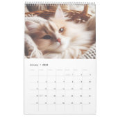 Calendrier Calendar with cute cats (Jan 2026)
