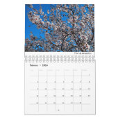 Calendrier Calendario de Mallorca 2022 (Feb 2026)