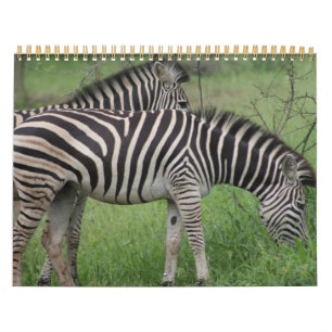 Calendrier Calender animalier du parc national Kruger