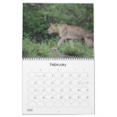 Calendrier Calender animalier du parc national Kruger (Feb 2026)