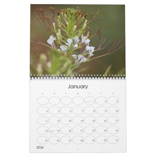Calendrier Calender animalier du parc national Kruger (Jan 2026)