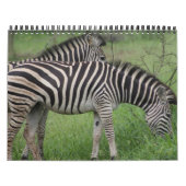Calendrier Calender animalier du parc national Kruger (Protection)