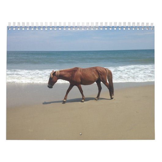 Calendrier Calender de l'environnement naturel (Protection)