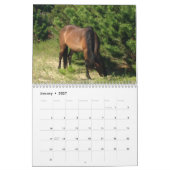 Calendrier Calender de l'environnement naturel (Jan 2027)