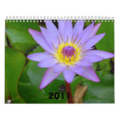 Calendrier Calendrier, 2011 (Protection)