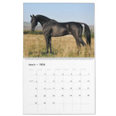Calendrier Calendrier. CHEVAUX d'Akhal-teke. 2017 (Mar 2026)