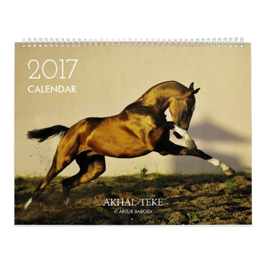 Calendrier Calendrier. CHEVAUX d'Akhal-teke. 2017 (Protection)