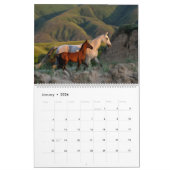 Calendrier Calendrier. CHEVAUX d'Akhal-teke. 2017 (Jan 2026)