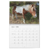 Calendrier Calendrier, Chevaux sauvages de l'île Assateague (Mar 2026)