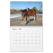 Calendrier Calendrier, Chevaux sauvages de l'île Assateague (Feb 2026)
