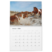 Calendrier Calendrier, Chevaux sauvages de l'île Assateague (Jan 2026)