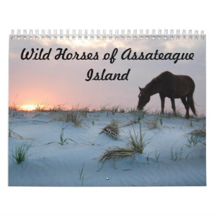 Calendrier Calendrier, Chevaux sauvages de l'île Assateague