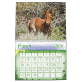 Calendrier Calendrier, Chevaux sauvages de l'Ouest des États- (Mar 2026)