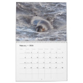 Calendrier Calendrier, espèce marine, la Californie (Feb 2026)